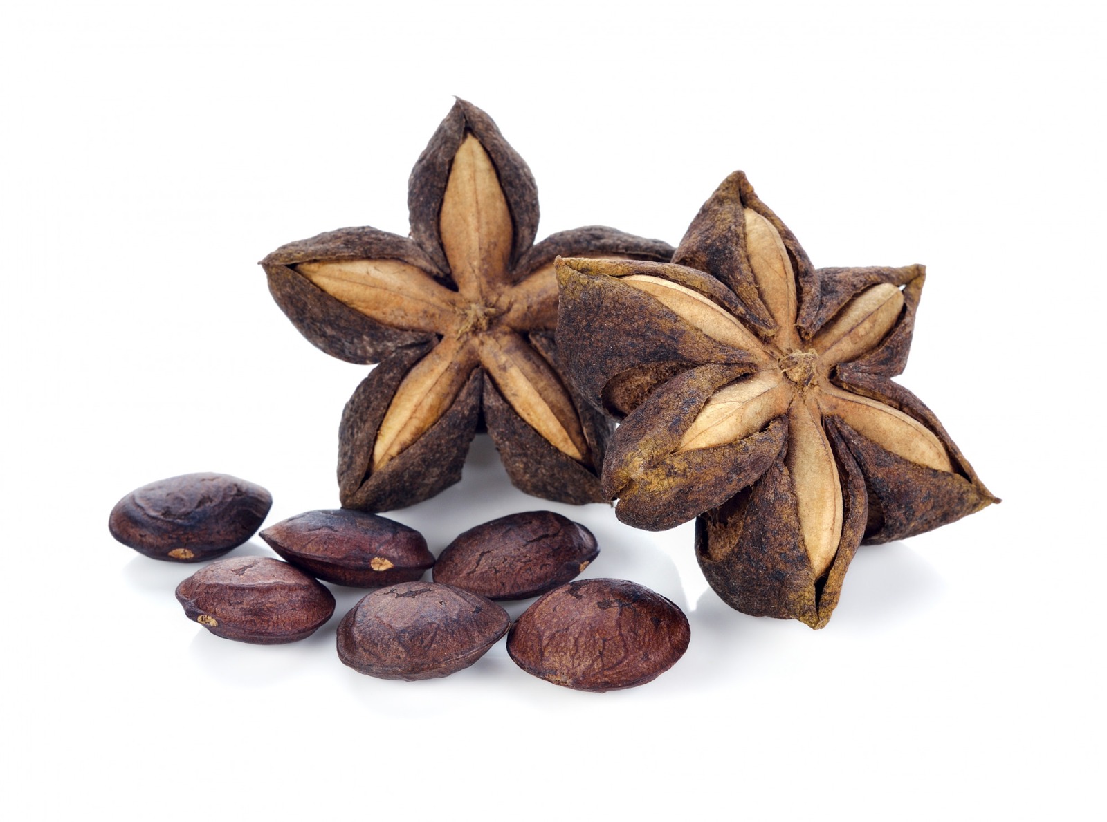 Sacha Inchi seeds and mature pods